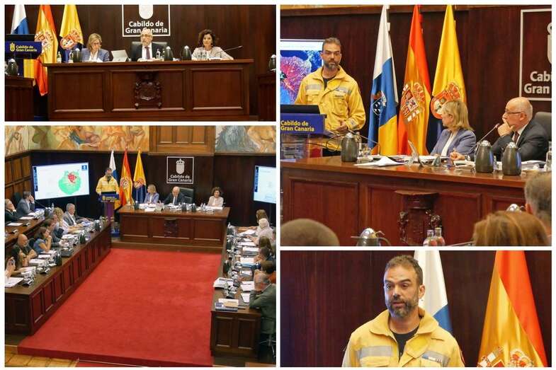 Pleno extraordinario sobre incendios (Foto TA)